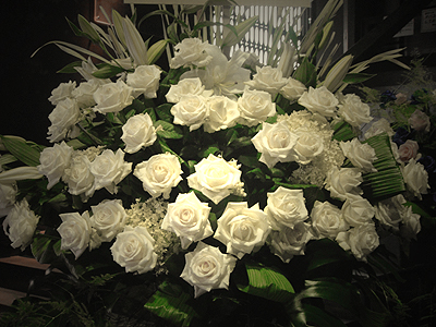sugar_rose